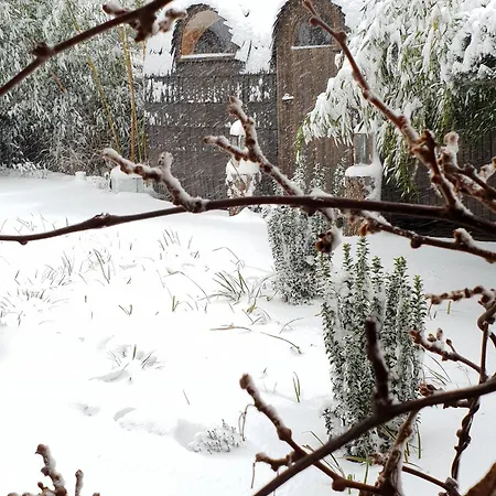 شقة Tiny House Igluhut *