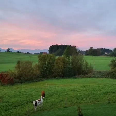 شقة Tiny House Igluhut