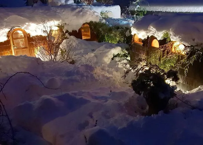 Апартаменты Tiny House Igluhut Hergensweiler