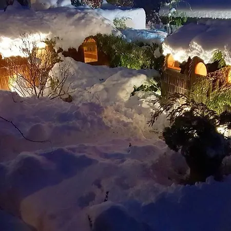 Апартаменты Tiny House Igluhut Hergensweiler