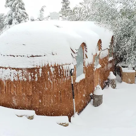 Tiny House Igluhut