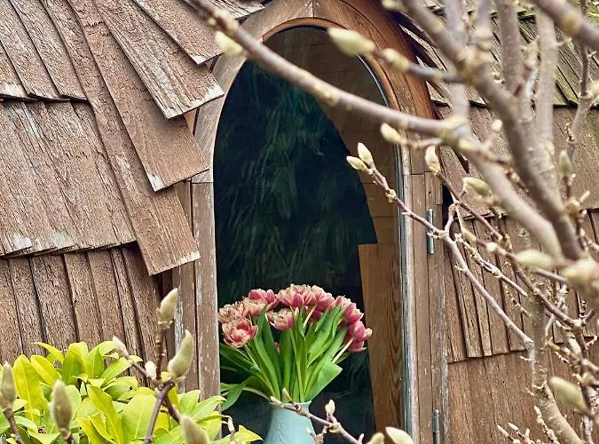 Tiny House Igluhut Apartamento *