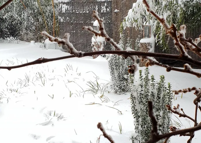 Appartamento Tiny House Igluhut *